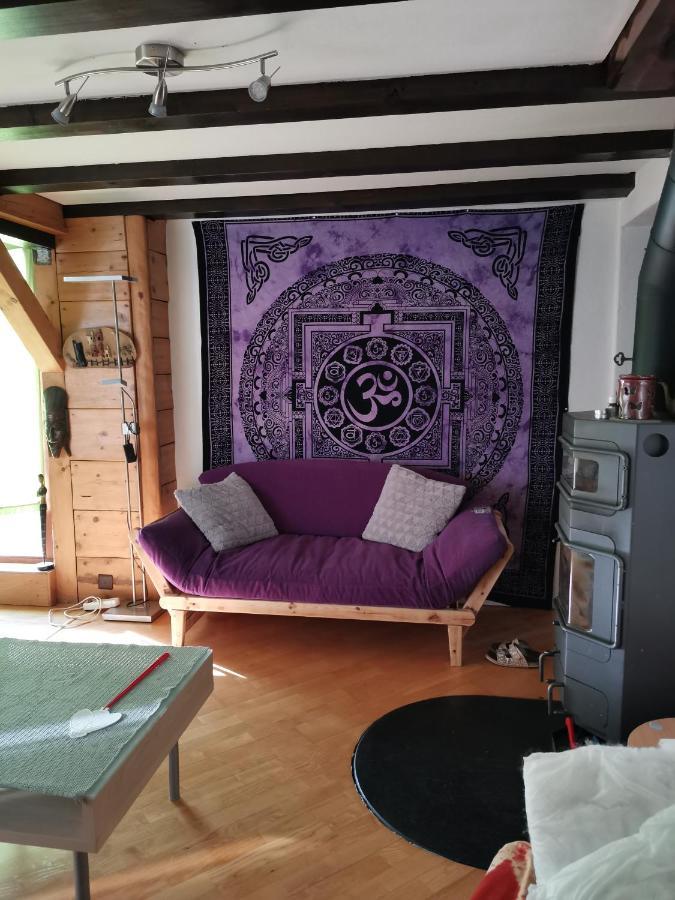 Chalet Alpine Appartement Sion Buitenkant foto
